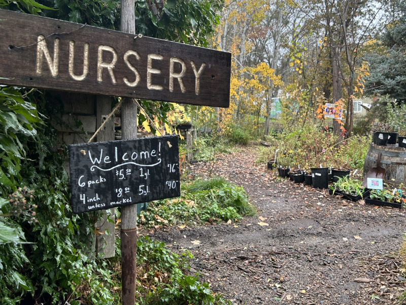 Mountain Sage Cafe and Nursery