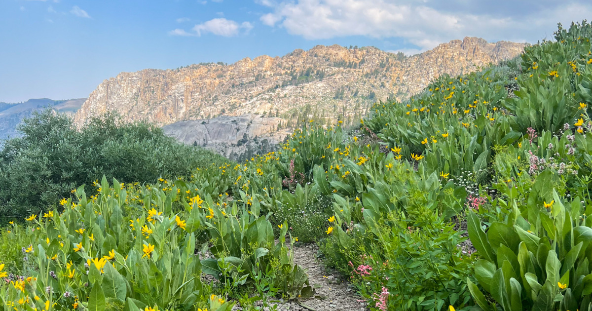 High Sierra hiking trail