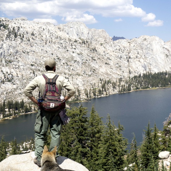 Pet Friendly Lodging, Dining & Activities Tuolumne County & Yosemite