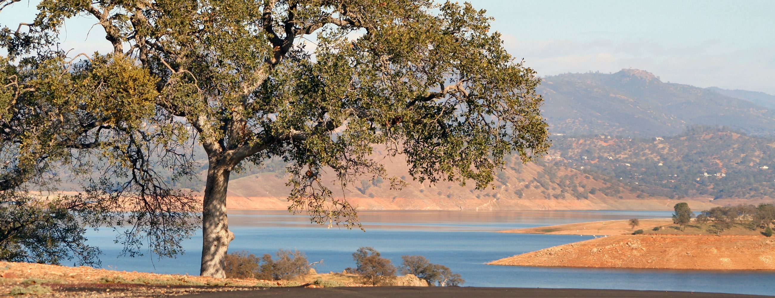 Blue Oaks Campground, Don Pedro Lake