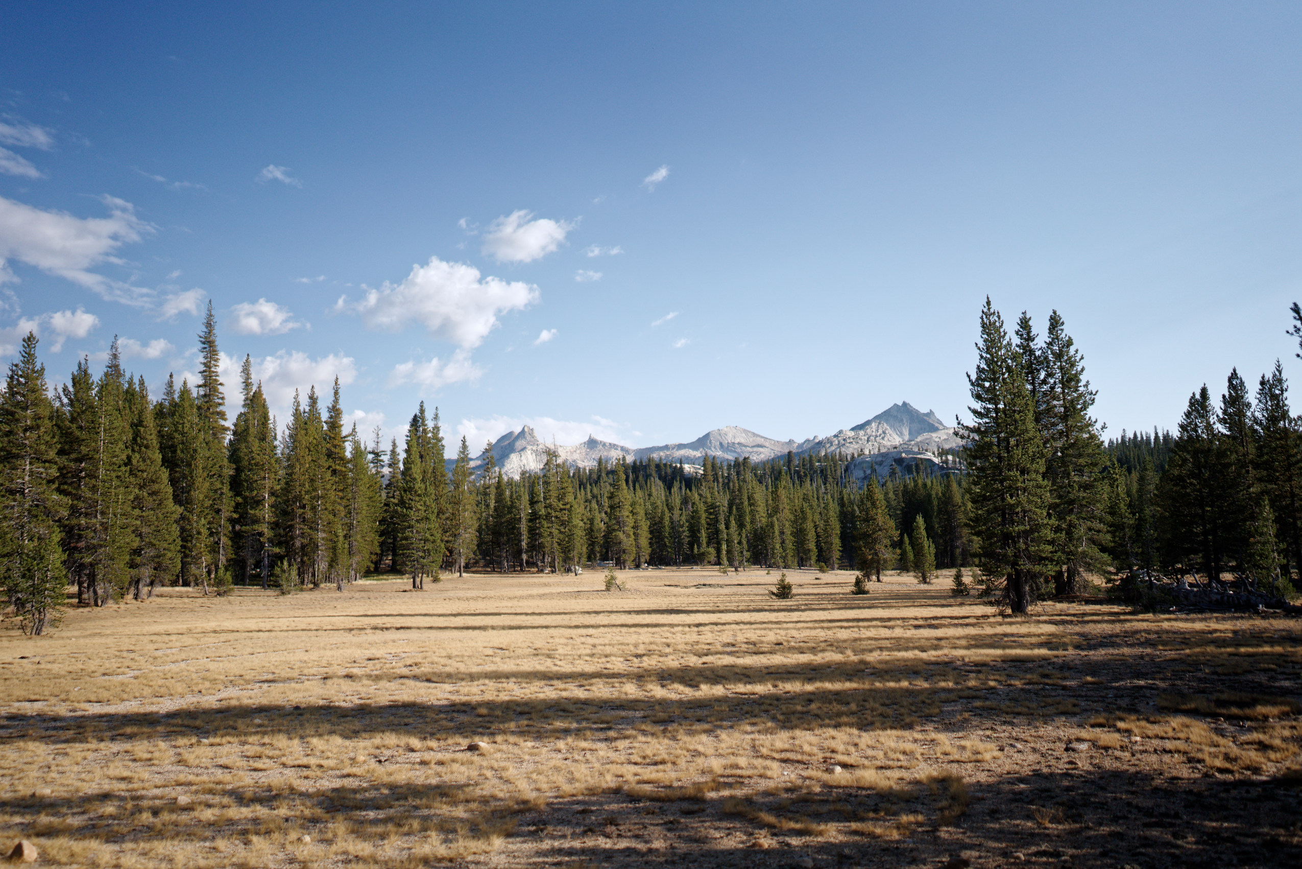 Tuolumne Meadows, Yosemite