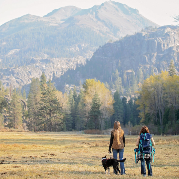 Kennedy Meadows