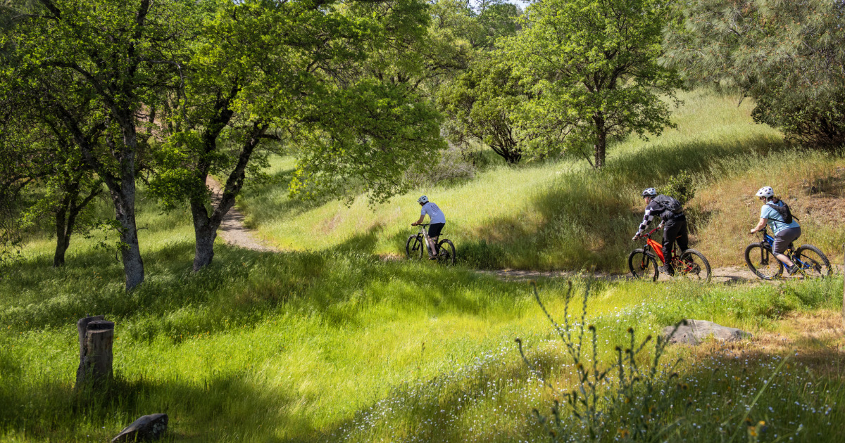 Tuttletown Recreation Area Trail