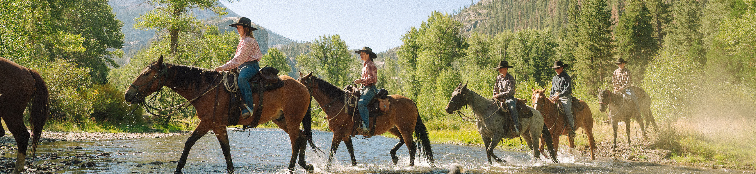 Horseback riding at Kennedy Meadows
