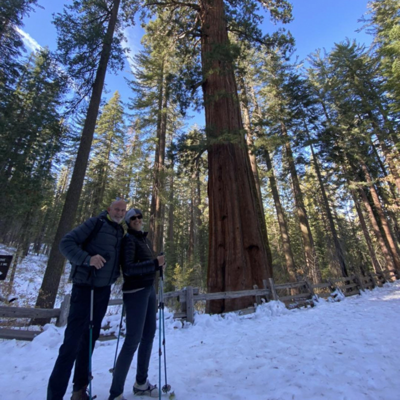 Snowshoeing in the Tuolumne Grove of Giant Sequoias