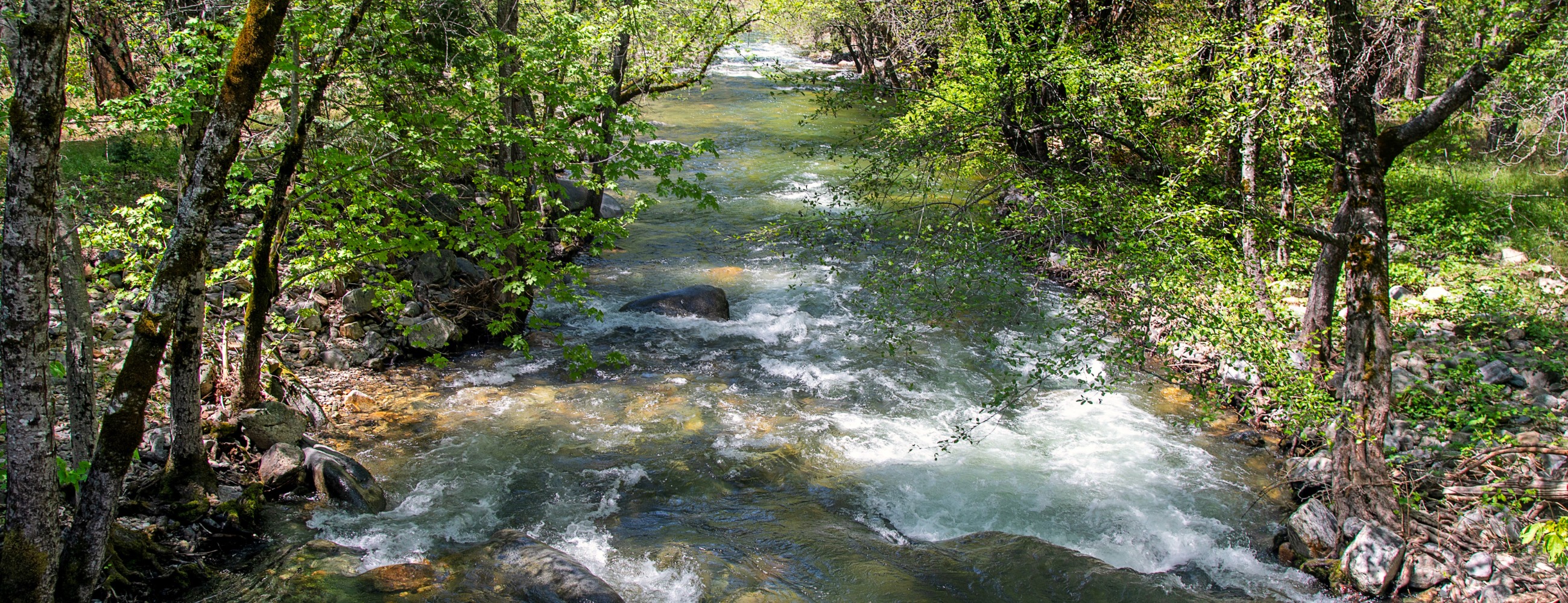 River Ranch Campground river