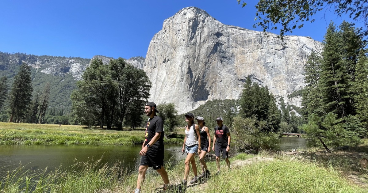 Wild Yosemite