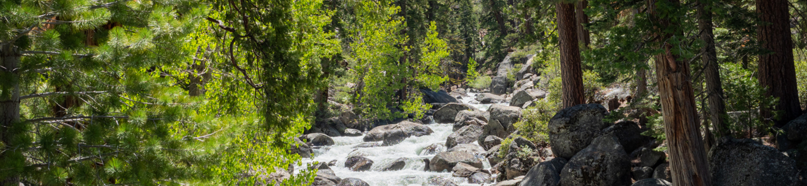Stanislaus River at Kennedy Meadows