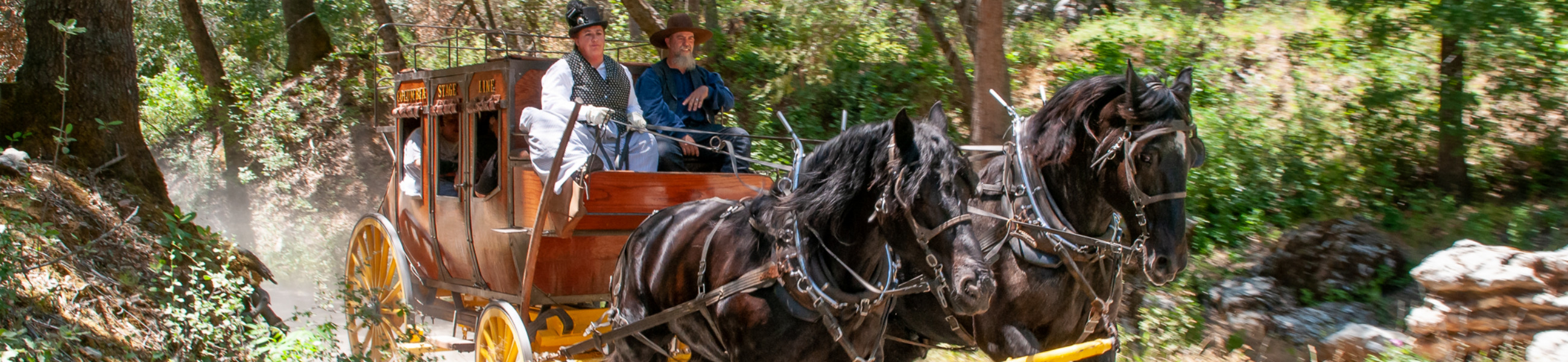 Columbia Stage Line and Stables