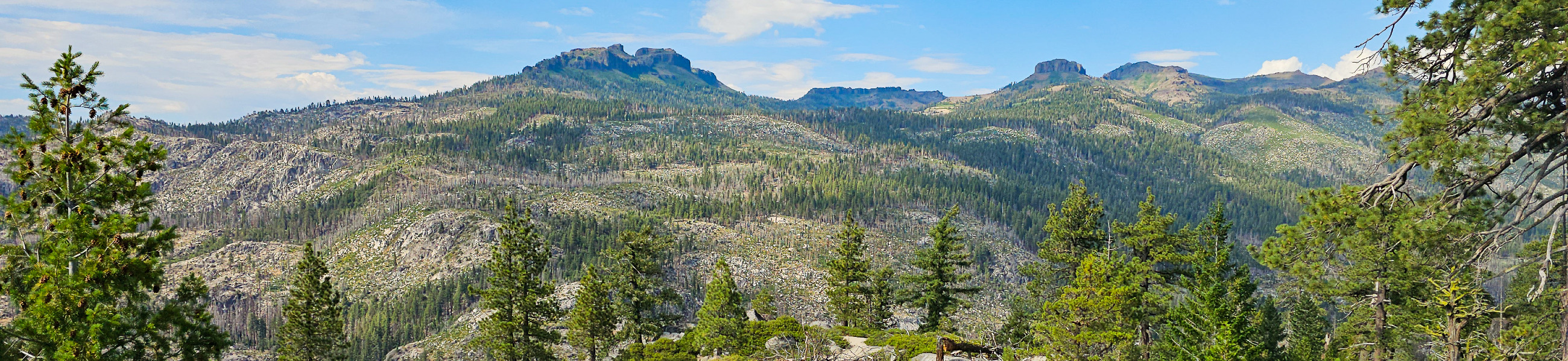 The Dardanelles from Donnell Vista