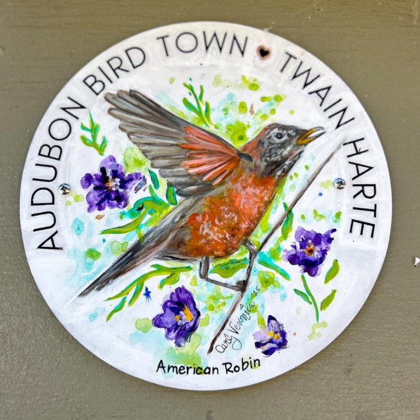 Audubon Bird Town Painting