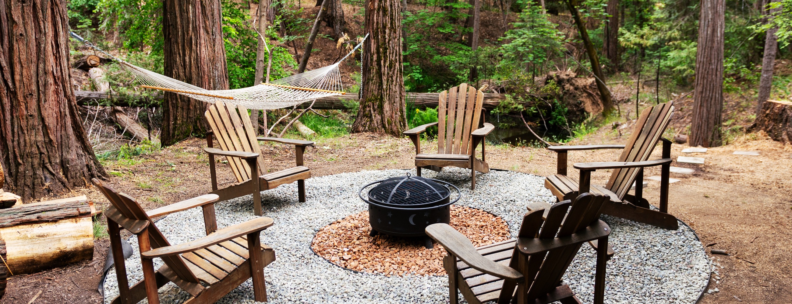 The Knotty Pine 